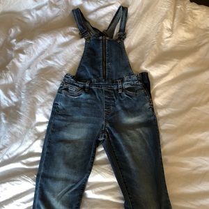 size 22 Pacsun Denim Overalls